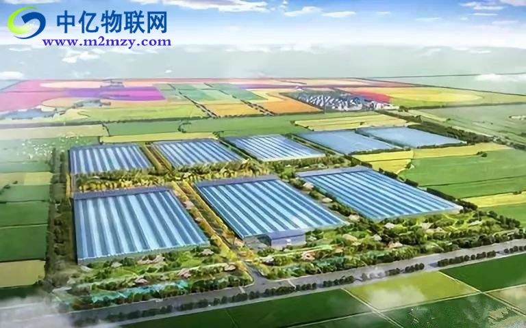 農業物聯網是如何實現農業生產精致化？